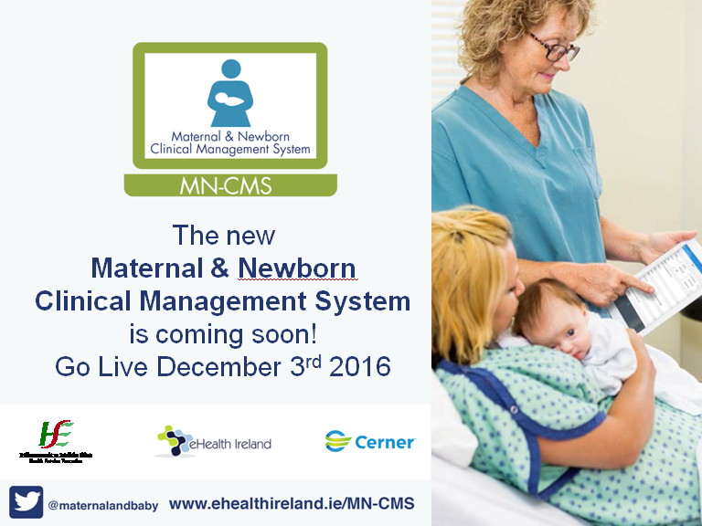 mn CMS Go Live_1 mn CMS Go Live_1